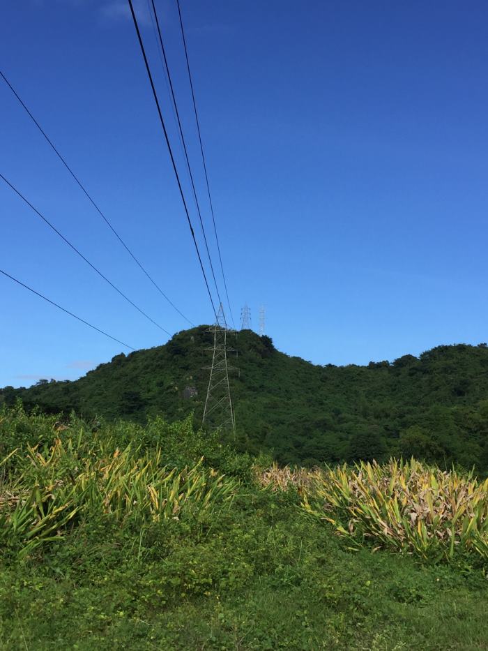 菲律賓0191項目_副本.jpg